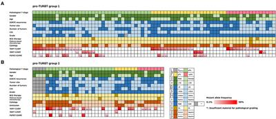 Clinical Significance of Hotspot Mutation Analysis of Urinary Cell-Free DNA in Urothelial Bladder Cancer